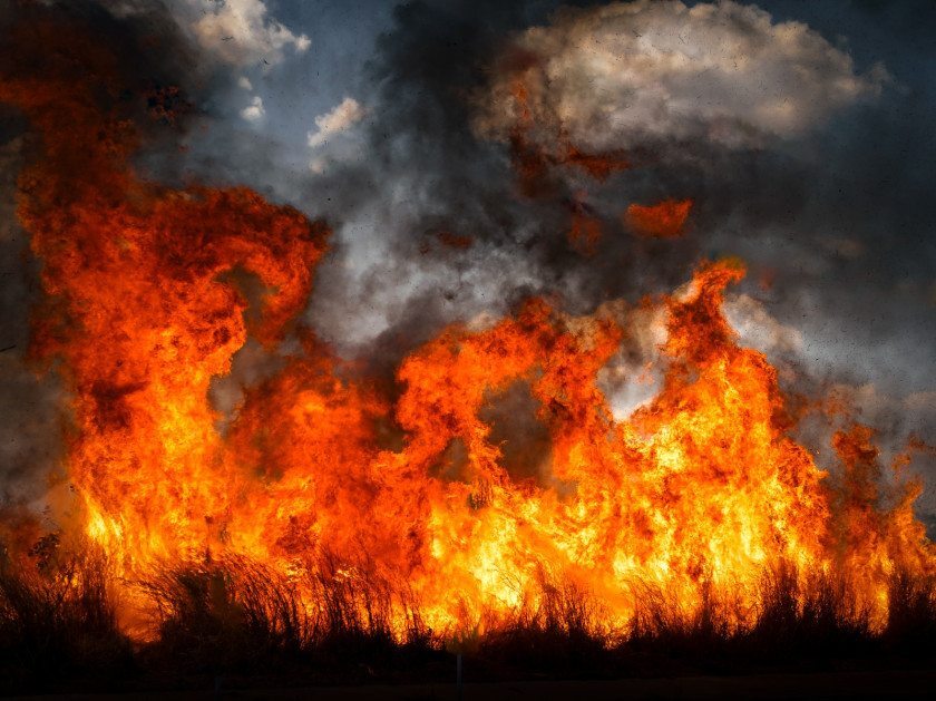 Mostra reúne 20 séries fotográficas selecionadas no primeiro edital do prêmio Macaque in the trees