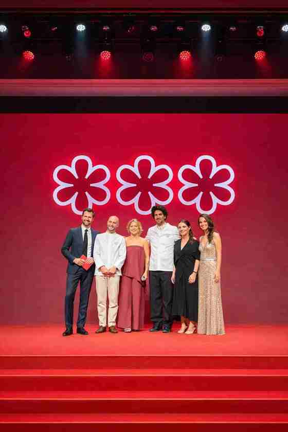 Macaque in the trees