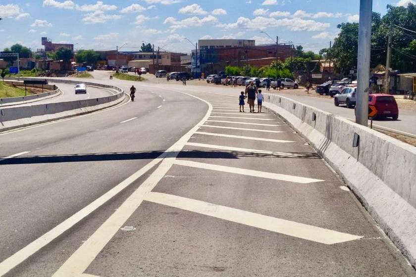 Macaque in the trees