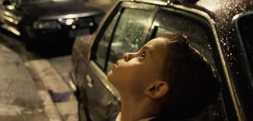 Macaque in the trees