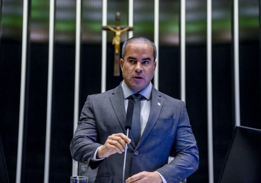 Macaque in the trees