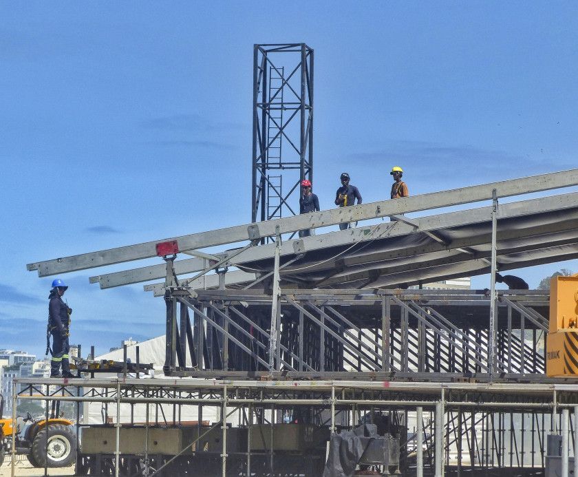 Macaque in the trees