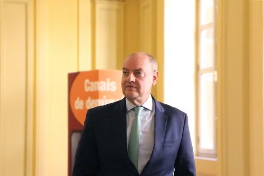 Macaque in the trees