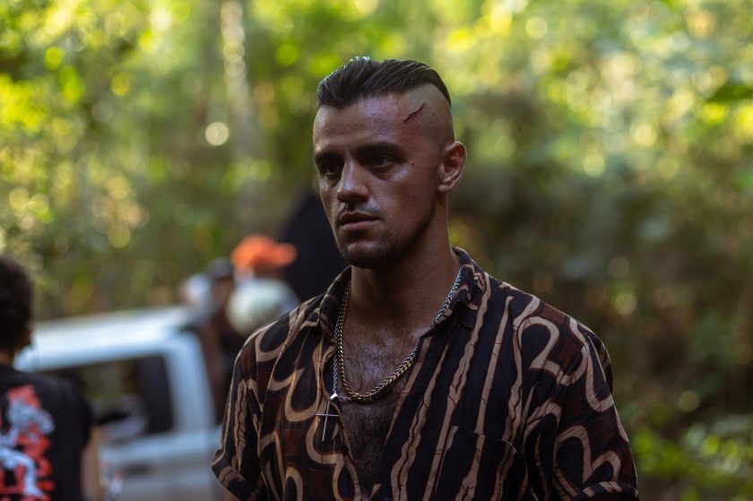 Macaque in the trees