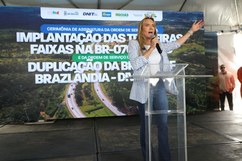 Macaque in the trees