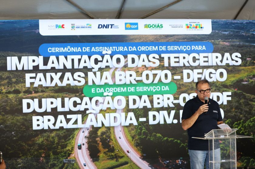 Macaque in the trees