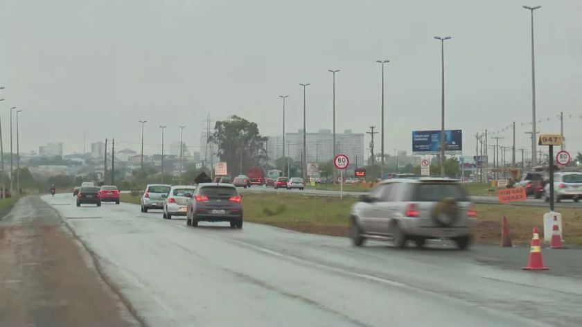 Macaque in the trees