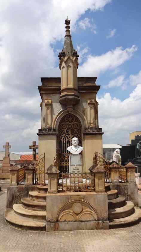 Macaque in the trees