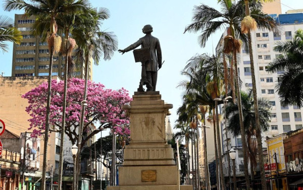 Macaque in the trees