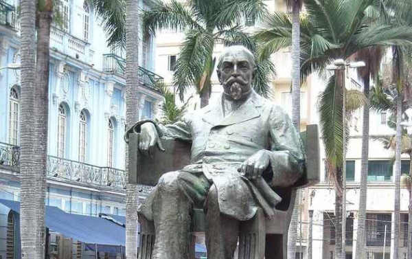 Macaque in the trees