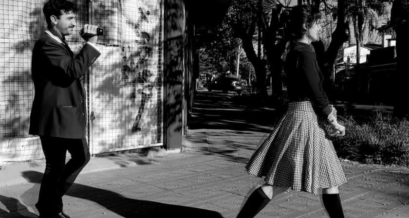 Macaque in the trees