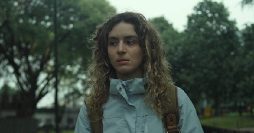 Macaque in the trees