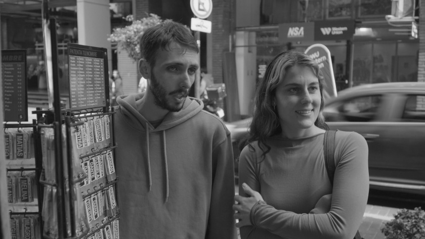 Macaque in the trees