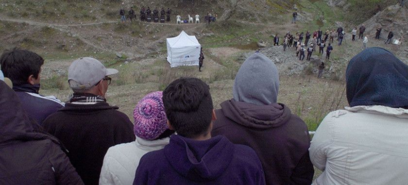 Macaque in the trees