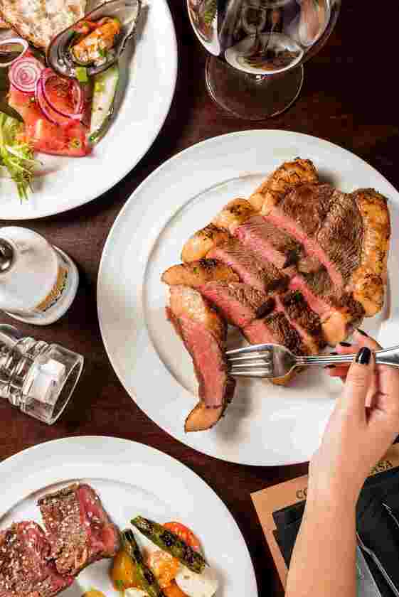 Macaque in the trees