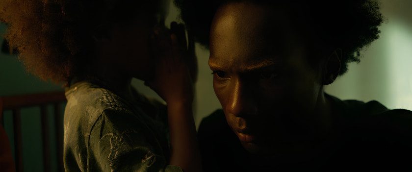 Macaque in the trees