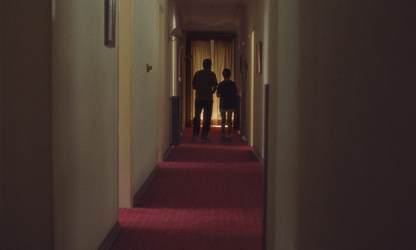 Macaque in the trees