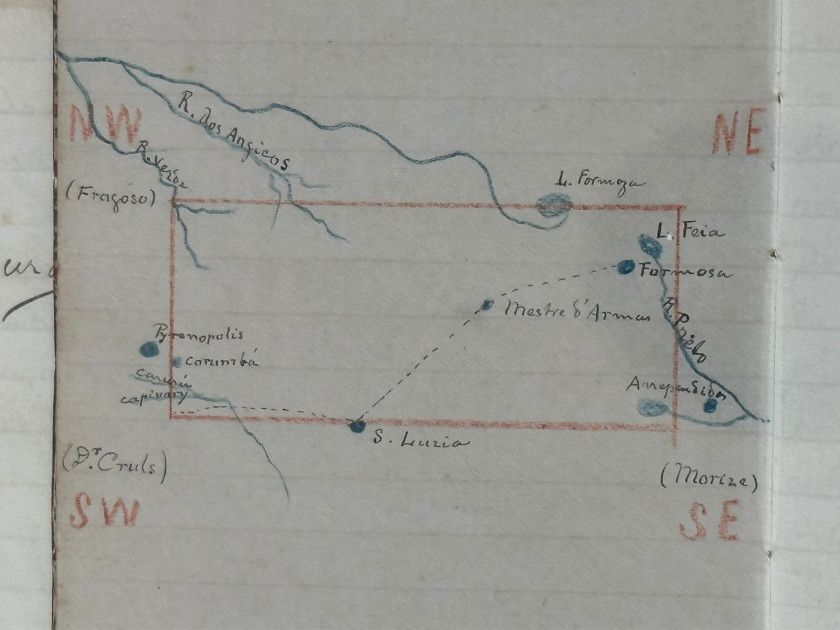 Macaque in the trees