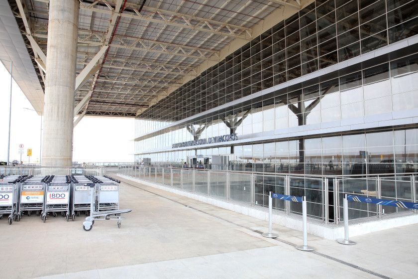 Macaque in the trees