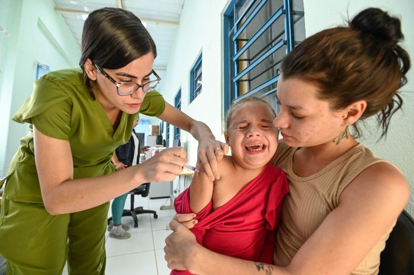 Macaque in the trees