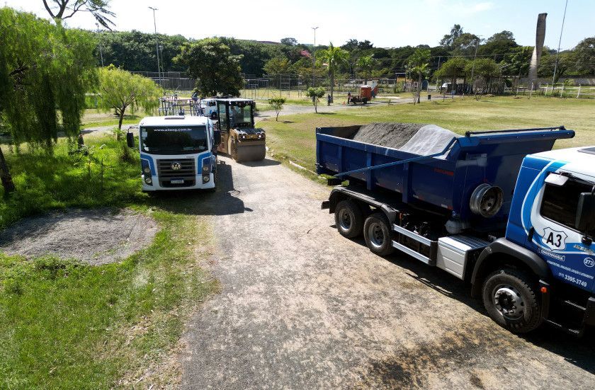 Macaque in the trees
