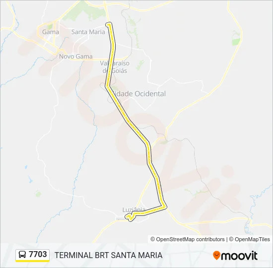 Macaque in the trees