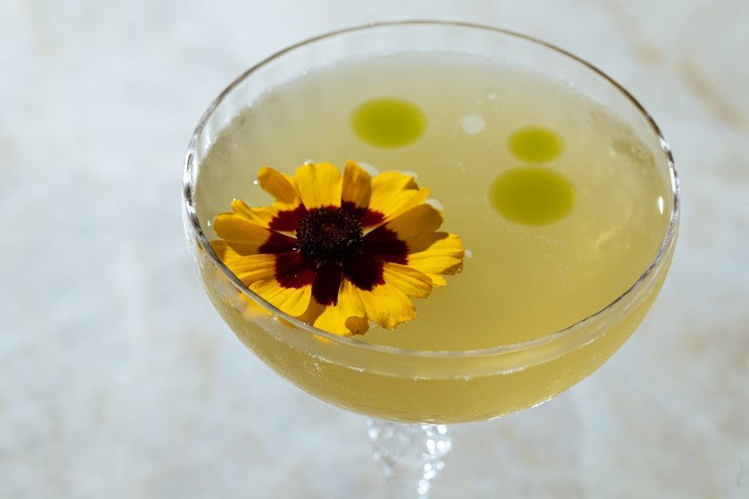 Macaque in the trees