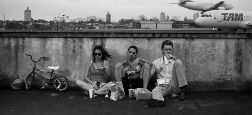 Macaque in the trees