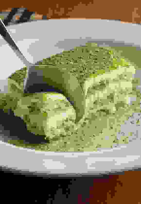 Macaque in the trees