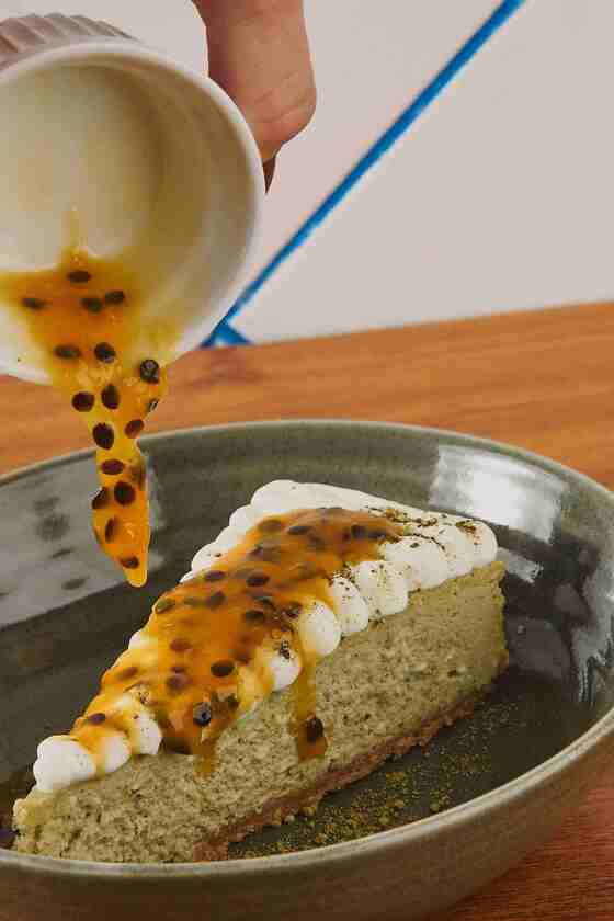 Macaque in the trees