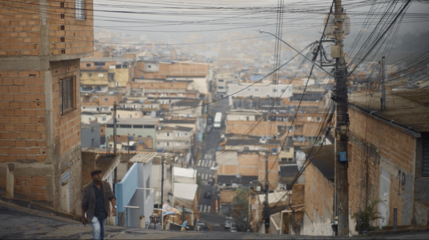 Macaque in the trees