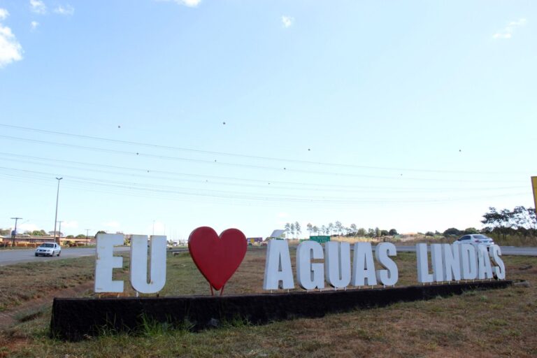 Macaque in the trees