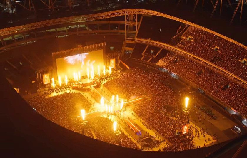 Macaque in the trees