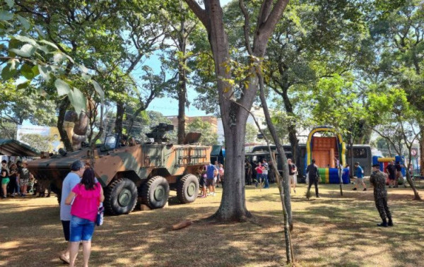 Macaque in the trees