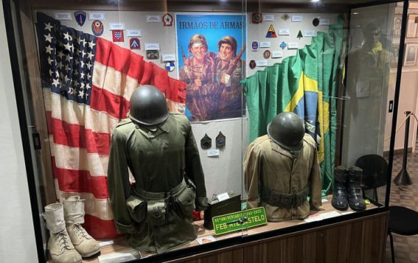 Macaque in the trees