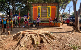 Laudo do Comdema, USP e Unicamp aponta preserva&ccedil;&atilde;o; parecer da Prefeitura n&atilde;o avaliou &aacute;rvores na Pra&ccedil;a do Coco