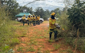 Instituto Bras&iacute;lia inicia a&ccedil;&otilde;es de manejo do fogo antes da seca