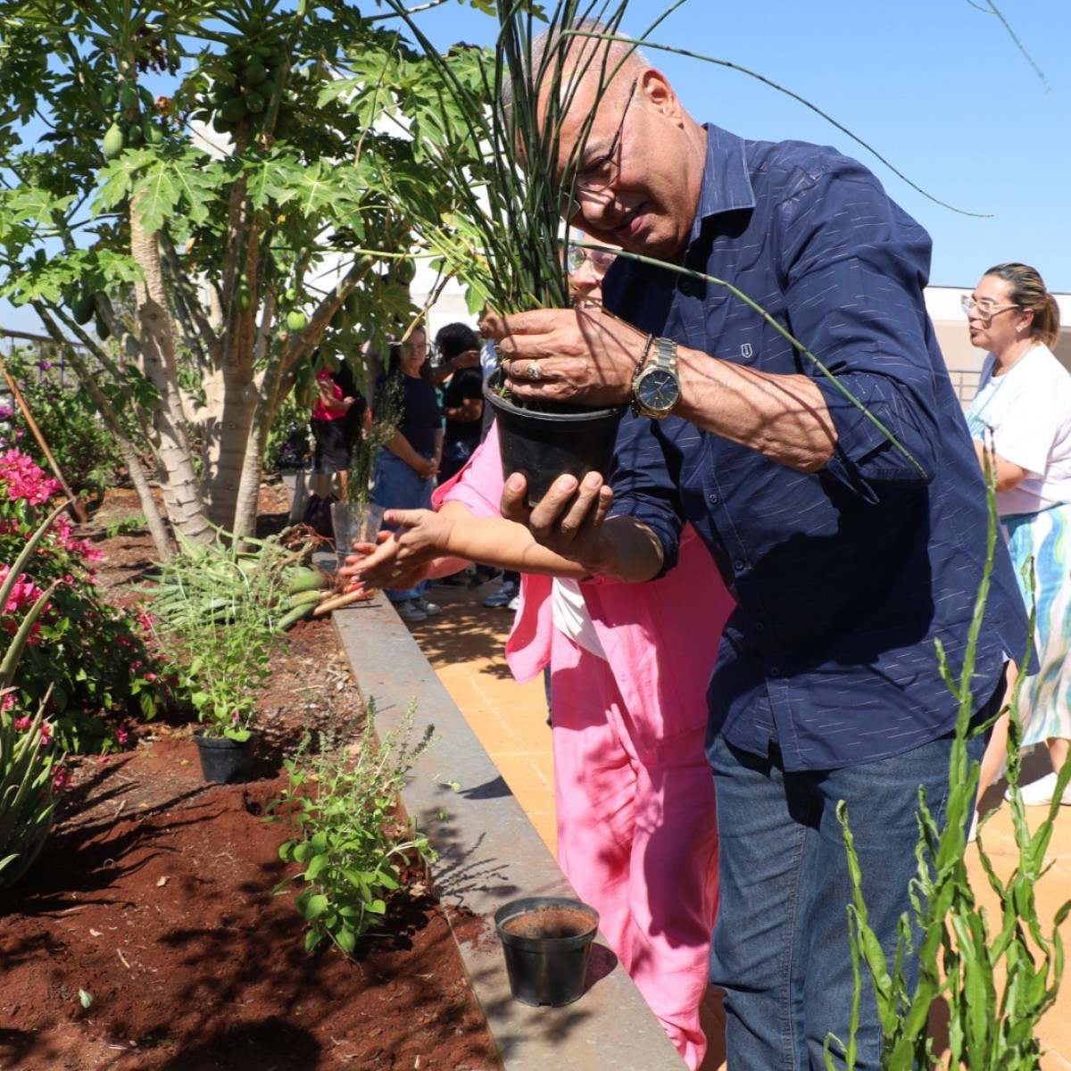 Bem-estar: Hortol&acirc;ndia ter&aacute; Jardim Terap&ecirc;utico