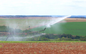 Gua&iacute;ra vira polo de irriga&ccedil;&atilde;o