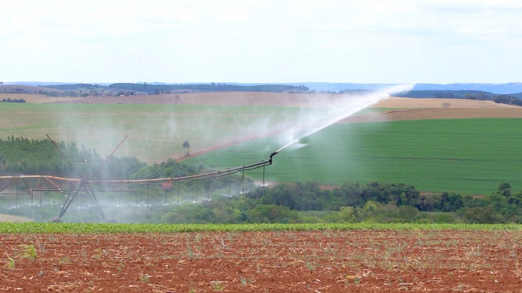 Gua&iacute;ra vira polo de irriga&ccedil;&atilde;o