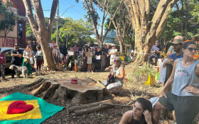 Troncos ficam 10 dias suspensos e retirada gera nova pol&ecirc;mica na Pra&ccedil;a do Coco, em Bar&atilde;o Geraldo