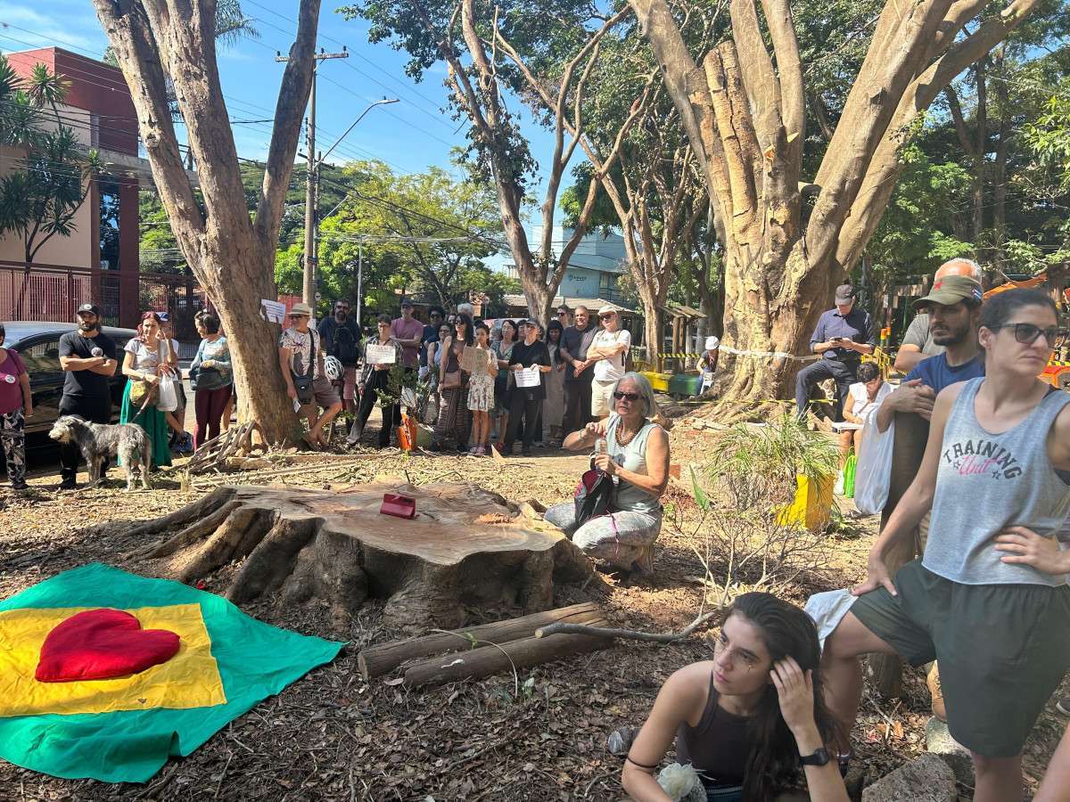 Troncos ficam 10 dias suspensos e retirada gera nova pol&ecirc;mica na Pra&ccedil;a do Coco, em Bar&atilde;o Geraldo
