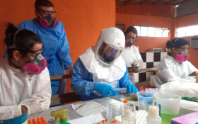 Paran&aacute; investiga 11 casos de hantavirose no estado
