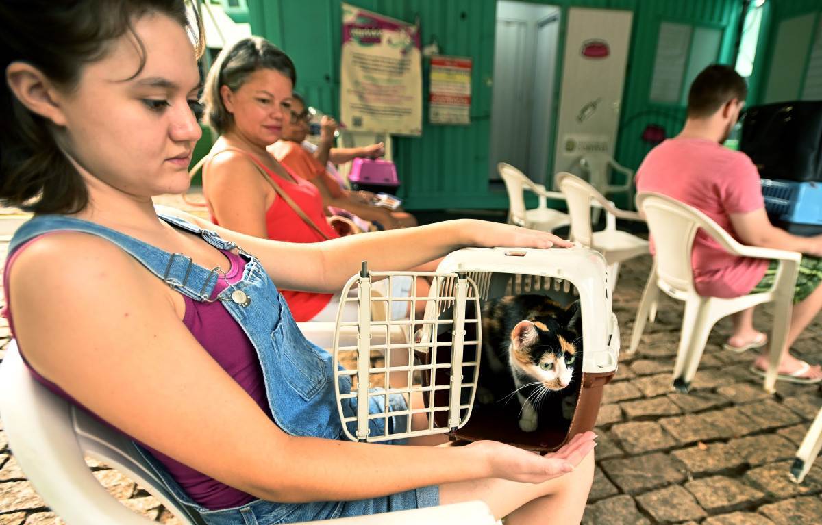 Consultório Veterinário Móvel: a unidade 2 fica até quinta na Vila Castelo Branco; dia 18 estará no Conjunto Habitacional Vida Nova; unidade 1 está na região do Campo Grande