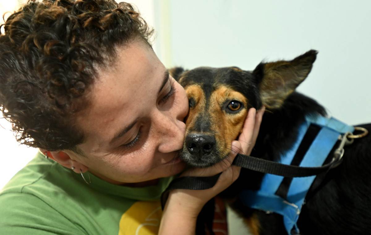 Moradores da Vila Castelo Branco t&ecirc;m at&eacute; esta 5&ordf; para levar seus pets para atendimento no Consult&oacute;rio M&oacute;vel