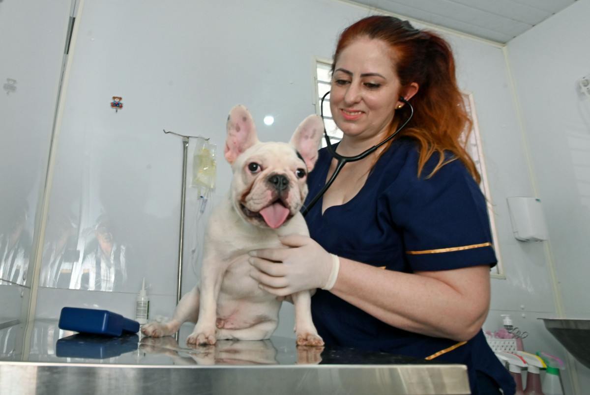 Consultório Veterinário Móvel: a unidade 2 fica até quinta na Vila Castelo Branco; dia 18 estará no Conjunto Habitacional Vida Nova; unidade 1 está na região do Campo Grande