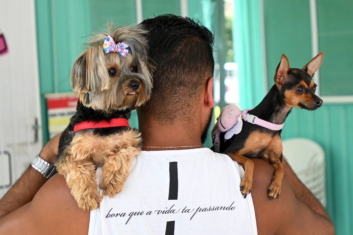 Consultório Veterinário Móvel: a unidade 2 fica até quinta na Vila Castelo Branco; dia 18 estará no Conjunto Habitacional Vida Nova; unidade 1 está na região do Campo Grande