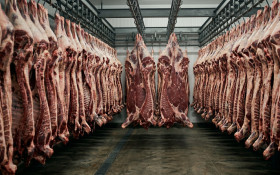 Uni&atilde;o Europeia veta carnes brasileiras por regra sanit&aacute;ria