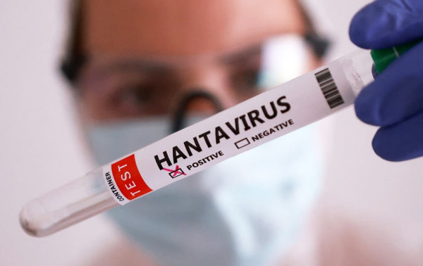 OMS confirma 11 casos de hantav&iacute;rus em cruzeiro MV Hondius