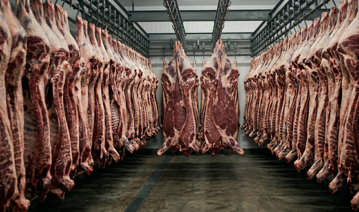 Uni&atilde;o Europeia veta carnes brasileiras por regra sanit&aacute;ria